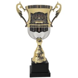 Copa 2006