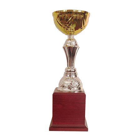 Copa BLAS 30 - Imagen 4