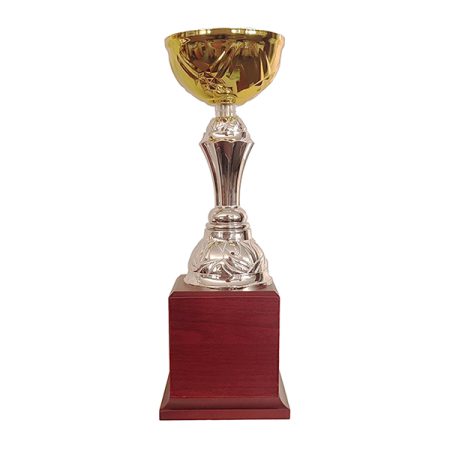 Copa BLAS 30 - Imagen 3