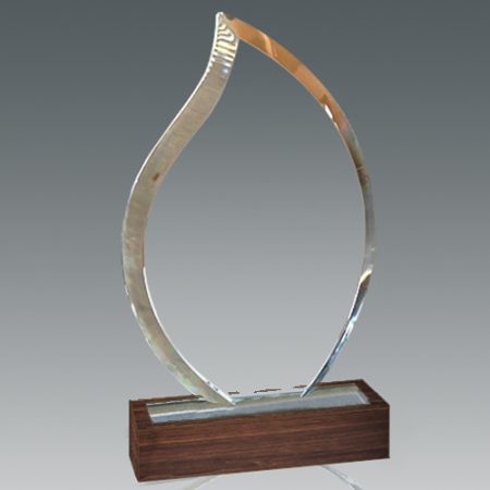 Galvano Cristal con Base de Madera BLAS 55 - Imagen 3