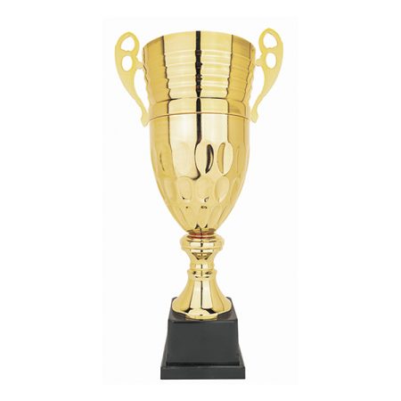 Copa CY 220 - Imagen 2