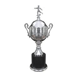 Copa Inglesa 115