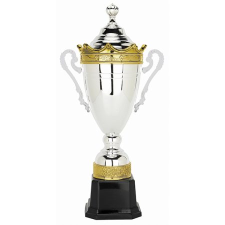 Copa H200 - Imagen 2