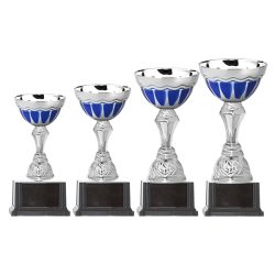 Copa BLAS 32
