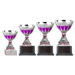 Copa BLAS 33