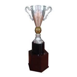 Copa España 733