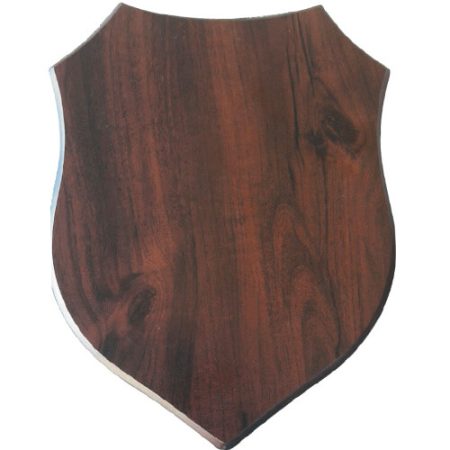 Escudo Madera SF - Imagen 2