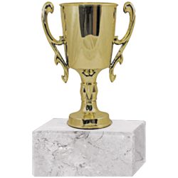 Trofeo Plástico Copa Chica  2