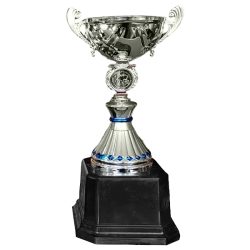 Copa VIC