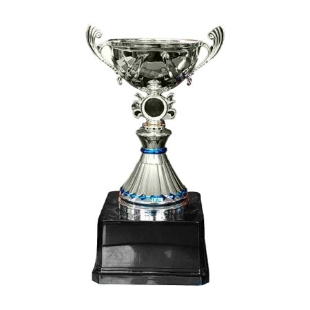 Copa VIC - Imagen 2