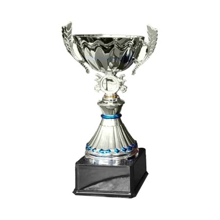 Copa VIC - Imagen 3