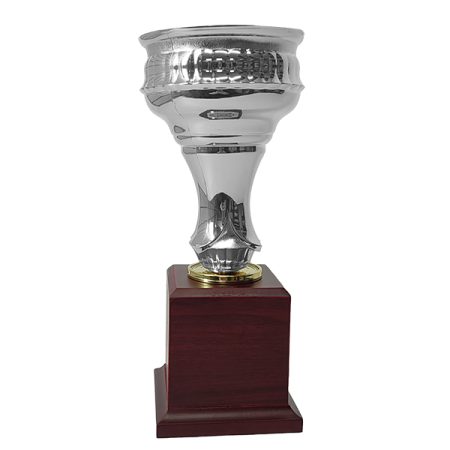 Copa CP22